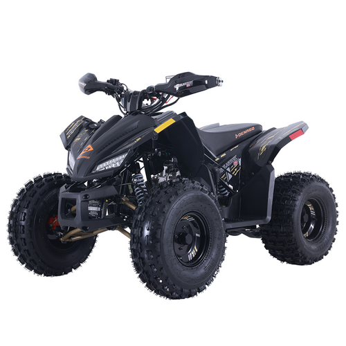 Denago Trailhawk 10 FI (Black)