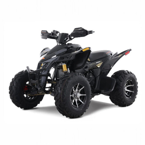 “Denago Daytona 250 youth/adult ATV Black – 250cc clutched four-wheeler” “Denago Daytona 250 youth/adult ATV Black – 250cc clutched four-wheeler”