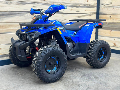 “2026 Denago Mudhawk 10 Blue youth ATV – fully assembled or crate option”