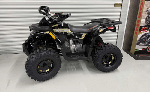 “2026 Denago Mudhawk 10 youth ATV Black – 120cc ATV for kids” “2026 Denago Mudhawk 10 youth ATV Black – 120cc ATV for kids”