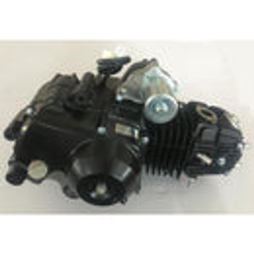 (17) 110cc Auto With Reverse, Electric Start Engine Assembly