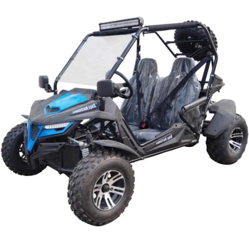 Trailmaster Cheetah 200EX (EFI)