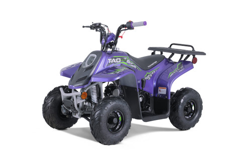 2023 Tao Motor Rock 110 (Purple)