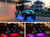 12-Volt Bluetooth Million Color LED Standard 4-Seater Wheelbase Golf Cart Underbody Lighting Kit with Smartphone Control