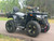 2026 Denago Freelander 300FI EFI - Black
