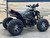 “Denago Daytona 250 youth/adult ATV Black – 250cc clutched four-wheeler”