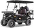 Kandi America 4 Passenger Electric Cruiser (MATTE BLACK) Kandi America 4 Passenger Electric Cruiser (MATTE BLACK)