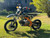 “2026 Denago MX1 110cc dirt bike orange youth motocross bike fully assembled or crate”