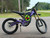 2025 SURRON Light Bee X - Purple