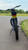 Rear Suspension: Surron Light Bee X adjustable rear suspension
