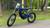 2025 SURRON Light Bee X - Blue