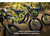 2025 SURRON Light Bee X - Black