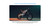 2026 SURRON Light Bee X - White