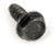 (07) Hammerhead Screw, ST4.8x16-F Tapping Screw for Fan and Shroud, 150cc (07) Hammerhead Screw, ST4.8x16-F Tapping Screw for Fan and Shroud, 150cc