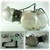 90cc PIRANHA ENGINE 90cc PIRANHA ENGINE