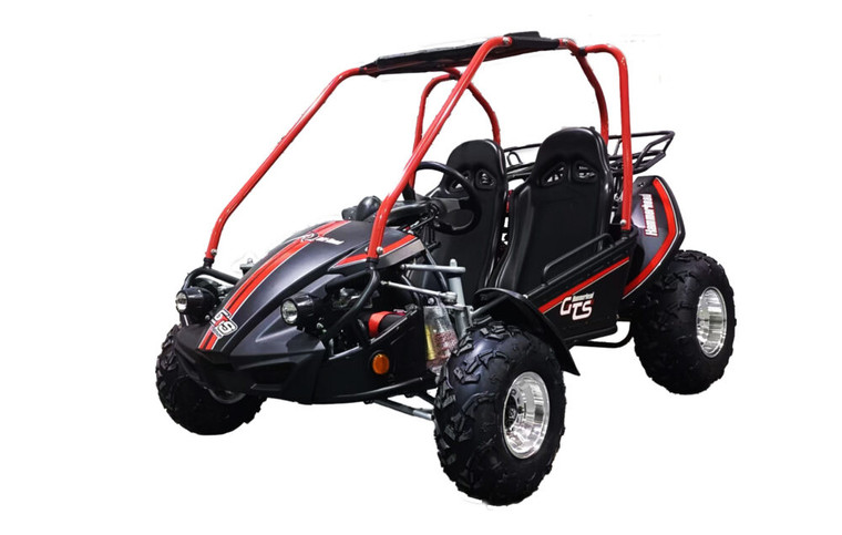 Hammerhead by Polaris GTS Platinum Edition, a high-performance off-road go-kart designed for adventure. The go-kart features a sleek, rugged design with brushed aluminum wheels, a canopy top, and all-wheel fenders. The nitrogen gas shocks and dual A-arm suspension system are prominently visible, highlighting its advanced engineering. The digital speedometer, dual headlights, and brush guard add to its modern and functional appeal. The go-kart is shown in an off-road setting, ready to tackle any terrain with confidence and style.