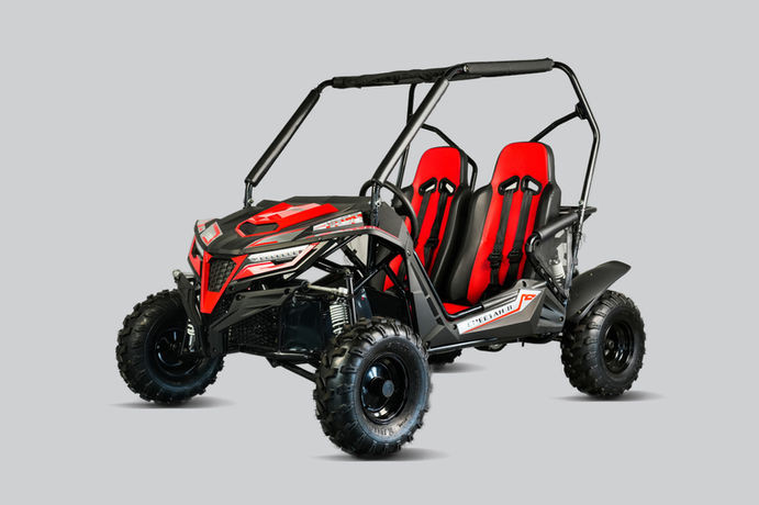 Trailmaster Cheetah 8 | Youth / Adult Gas Go Kart | East Central