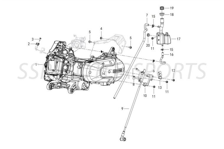 Engine Assembly for QJ Motor LTR150