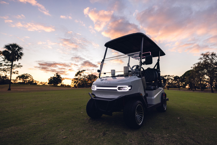 2026 Teko Ev Turbo Lite 2 Seat Golf Cart