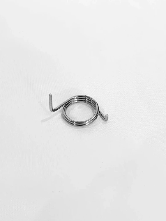 Spring, Foot Peg, Left - ETM RTR 2025