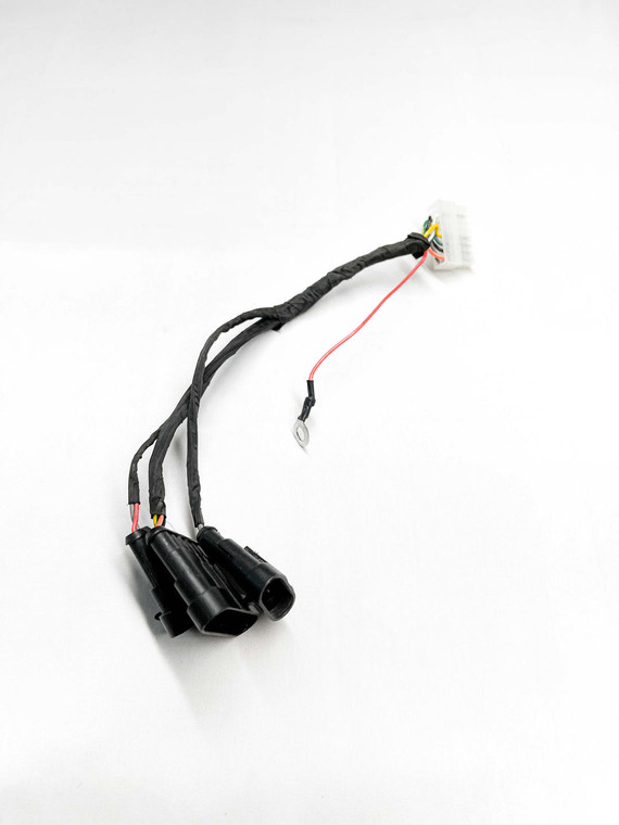 Harness - ETM RTR 2025 700-1000 - Electro & Co