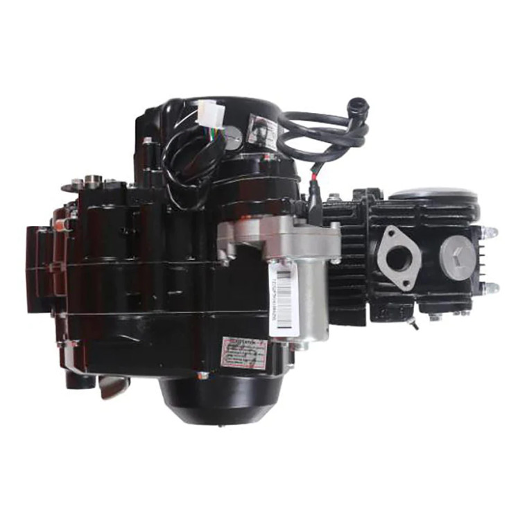 (31) Tao D125 110cc Automatic w/Reverse, Elec. Start Engine w/ Steel Cylinder