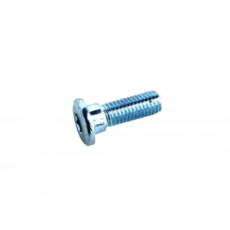 (199) Wolf Islander Brake Disc Bolt 8mm X 25