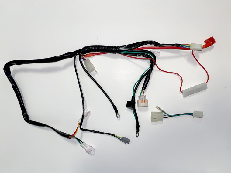 4025 | Wiring Loom- Fits ZS190 and ZS212 Models