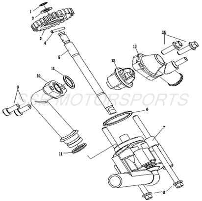 Waterpump & Thermostat Waterpump & Thermostat