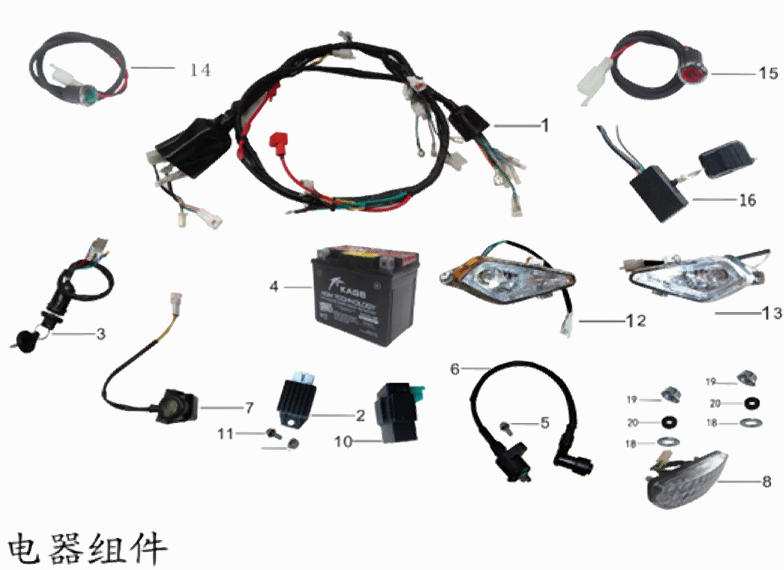 Harness & Switches