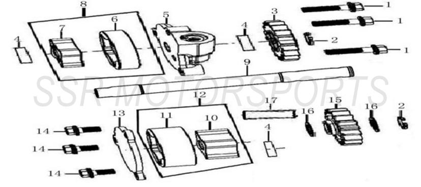 SSR SR300) Full Engine Parts Schematics