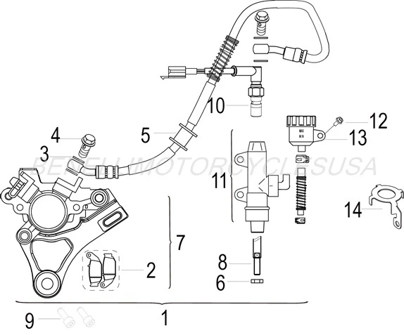Rear Brake System