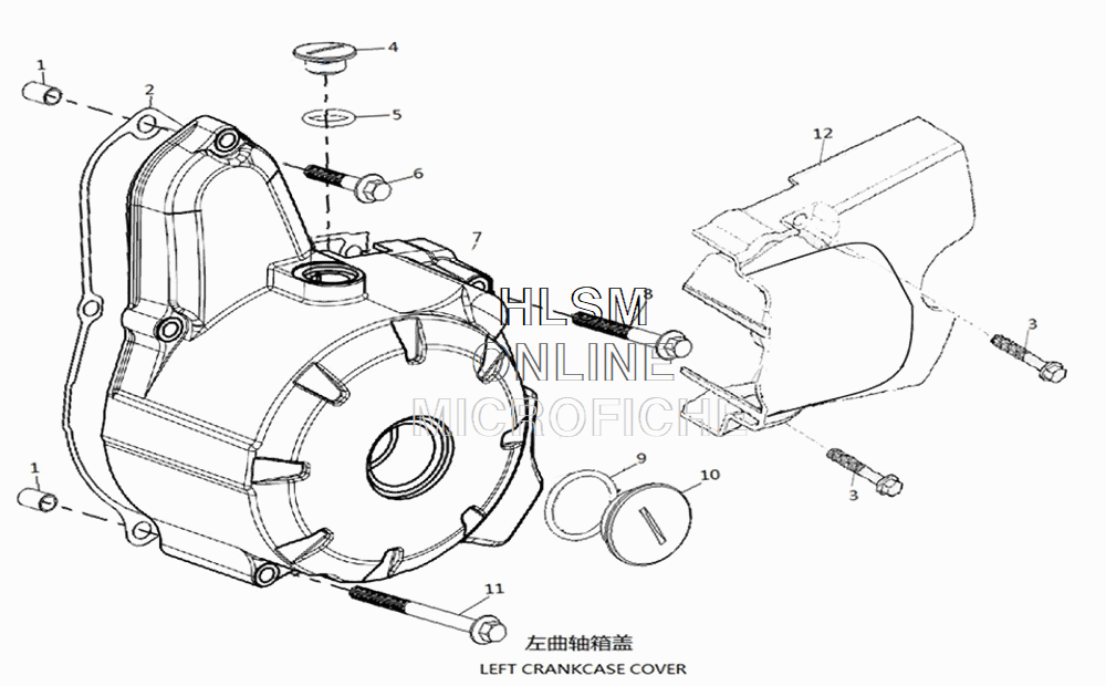 Crankcase Cover - Left