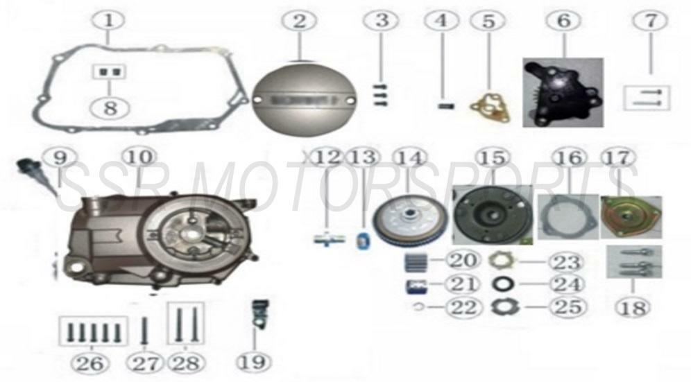 Right Crankcase Cover (SR125AUTO)