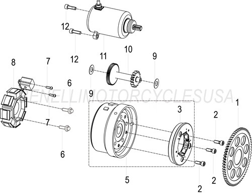 Starter & Starter Clutch