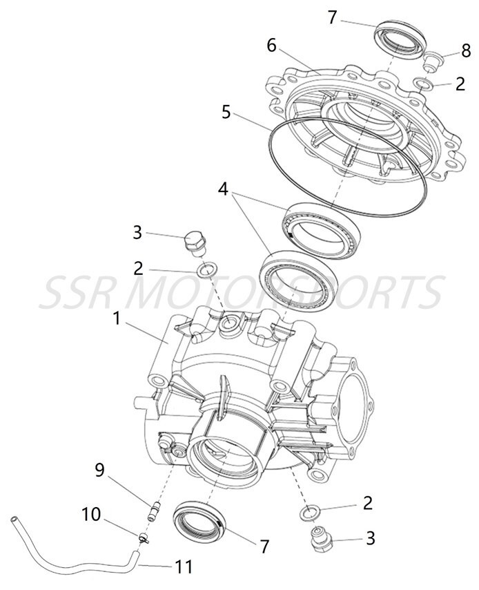 Rear Differential Internal Parts (Bison 500)