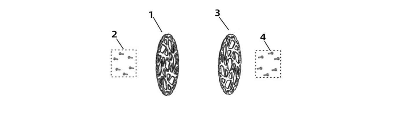 28. Front / Rear Brake Disc Kit (Accessory)