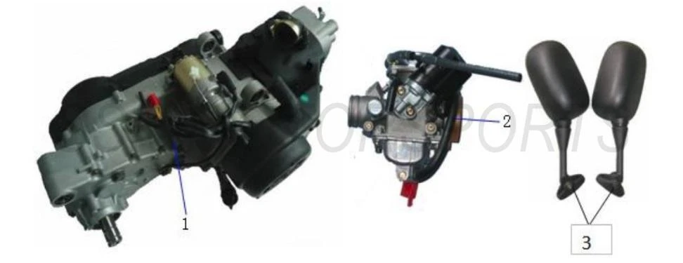 Engine & Carburetor