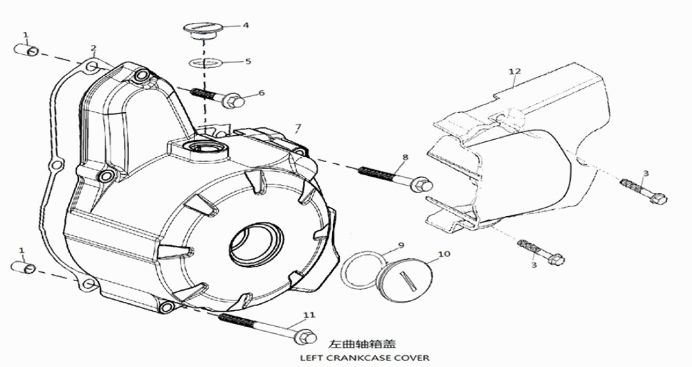 Crankcase Cover - Left