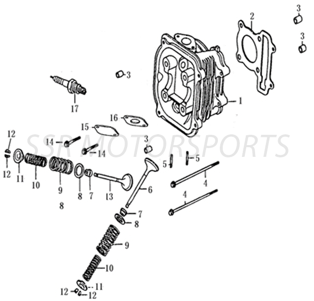 Engine Internals (Bison 200 / Bison 200P)