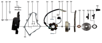 Timing Chain