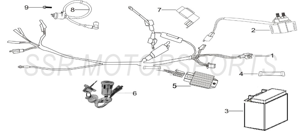 2025 SSR SR110SE - Wire Harness Parts Diagram