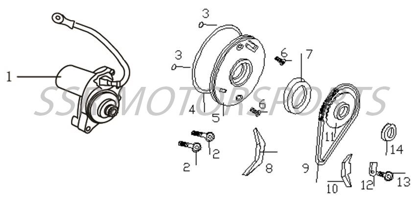 2025 SSR SR110SE - Starter Motor - 2P Parts Diagram