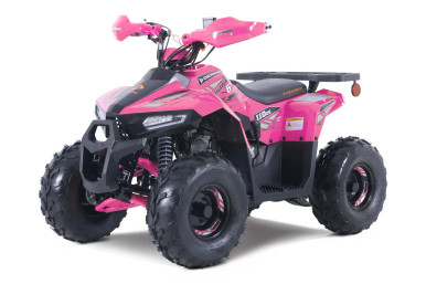 Denago Mudhawk 6 ATV for Kids (Ages 6+) | East Central Sports