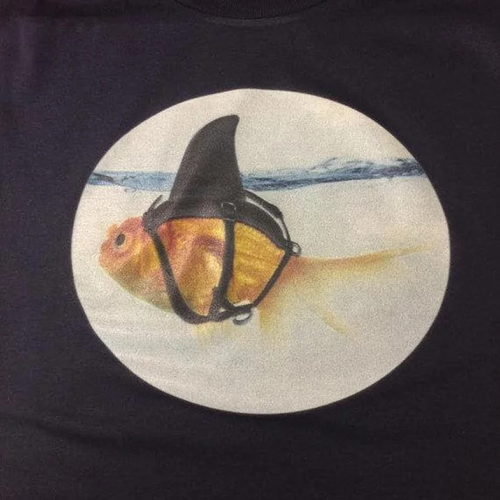 Goldfish Shark T-shirt Goldfish Shark Shirt