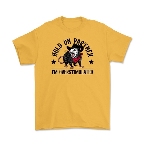 Hold On Partner, I'm Overstimulated T-Shirt