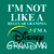 I'm Not Like A Regular Grandma, I'm A Disney Grandma T-Shirt