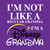 I'm Not Like A Regular Grandma, I'm A Disney Grandma T-Shirt