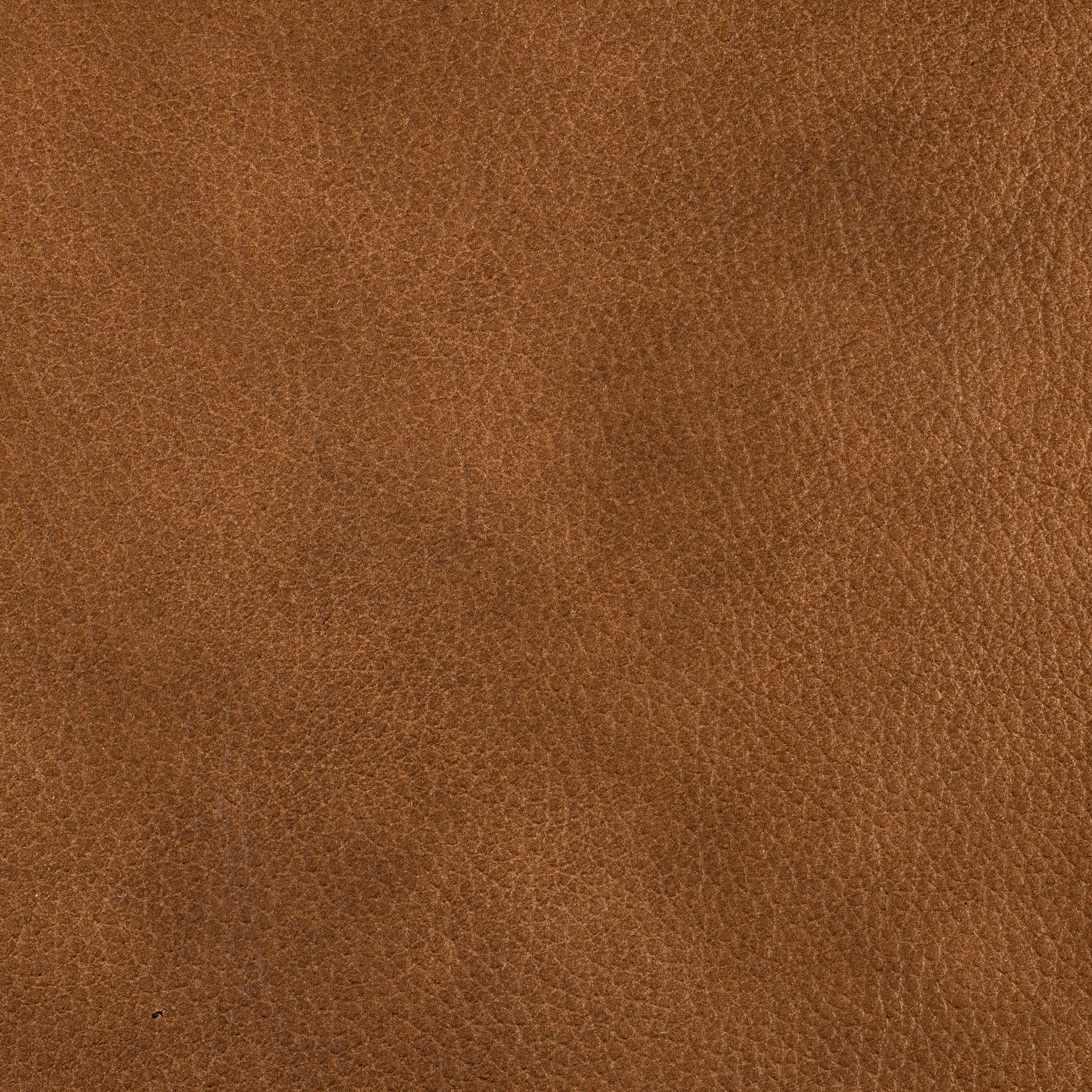 Swatch - Tuscany Tan