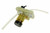 DeLonghi DELONGHI MECHANICS VALVE 7313244171 FOR ETAM29 and ETAM36 IN HEIDELBERG DeLonghi DELONGHI MECHANICS VALVE 7313244171 FOR ETAM29 and ETAM36 IN HEIDELBERG